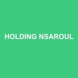 Logo Holding Nsaroul - Expert-comptable à Valence