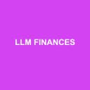 Logo LLM FINANCES