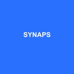 Logo Synaps - Expert-comptable à Santes